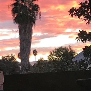 Meet your Posher, Simona